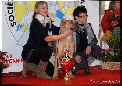 du domaine de la Goupillère - Paris Dog Show